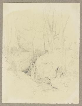 Wald, von einem Bach mit kleinem Wasserfall durchflossen, rechts ein sitzender Mann mit Hut