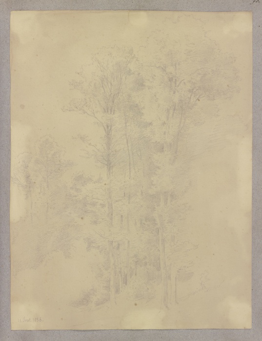 Forest section od Carl Theodor Reiffenstein