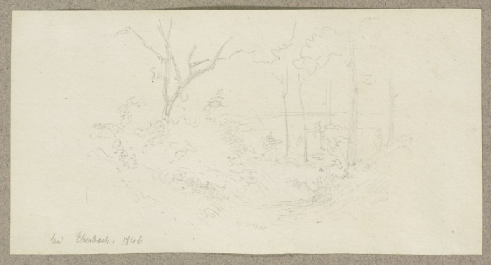 Section of the forest near Eberbach od Carl Theodor Reiffenstein