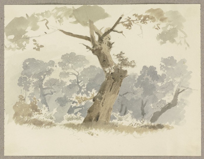 Waldpartie, im Vordergrund ein krumm gewachsener Baum od Carl Theodor Reiffenstein