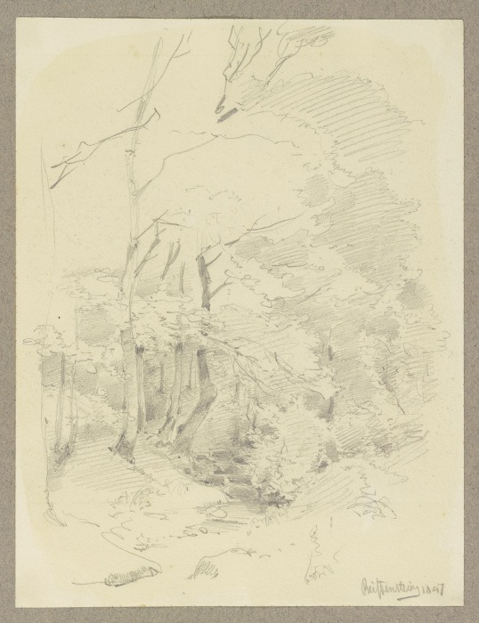 Waldpartie, von einem Bach durchflossen od Carl Theodor Reiffenstein