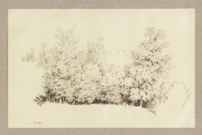 Edge of a wood od Carl Theodor Reiffenstein