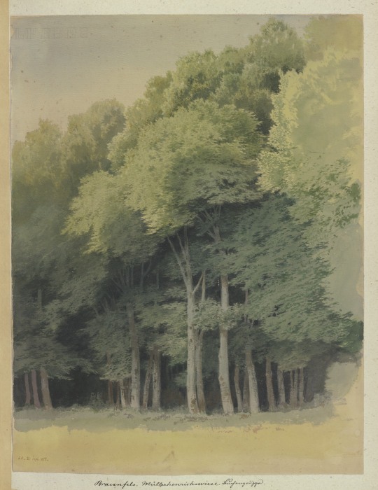 Forest edge near Braunfels od Carl Theodor Reiffenstein