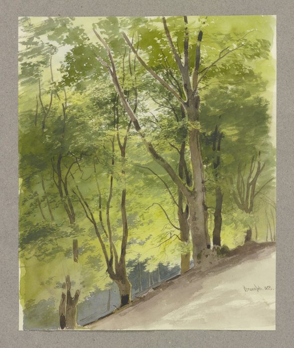 Waldstück an einem Hang bei Braunfels od Carl Theodor Reiffenstein
