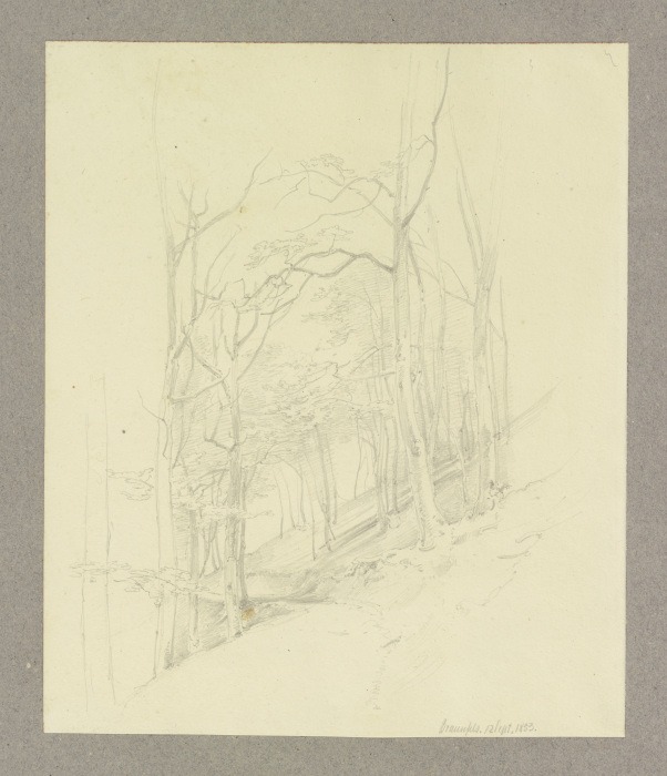 Waldstück an einem Hang bei Braunfels od Carl Theodor Reiffenstein