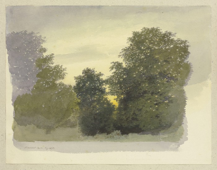Waldstück bei Michelstadt im Abendlicht od Carl Theodor Reiffenstein