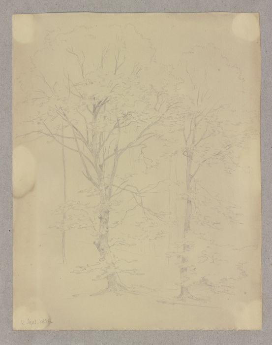 Two trees od Carl Theodor Reiffenstein