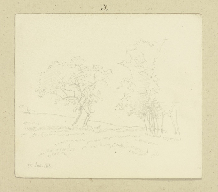 Zwei Bäume dies- und jenseits eines Gatters od Carl Theodor Reiffenstein