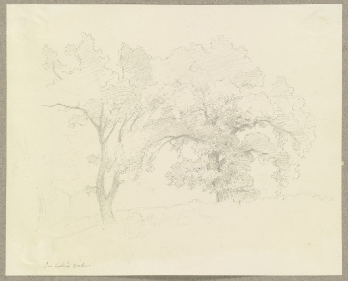 Zwei in einem Garten stehende Bäume od Carl Theodor Reiffenstein