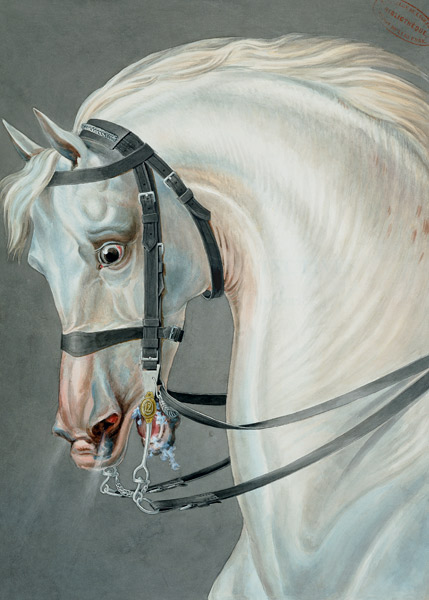 Bride pour les chevaux de carabiniers od Carle Vernet