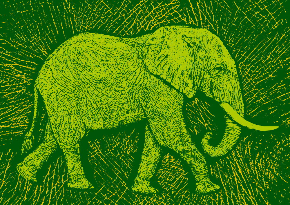 Africa Elephant texture pattern od Carlo Kaminski