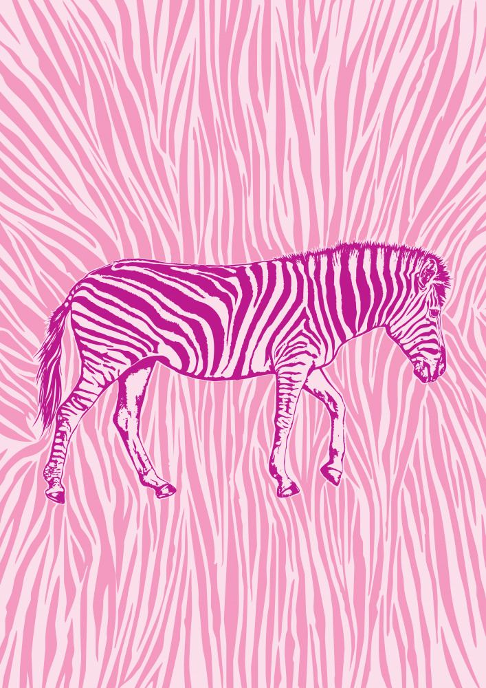 African Zebra striking camouflage od Carlo Kaminski