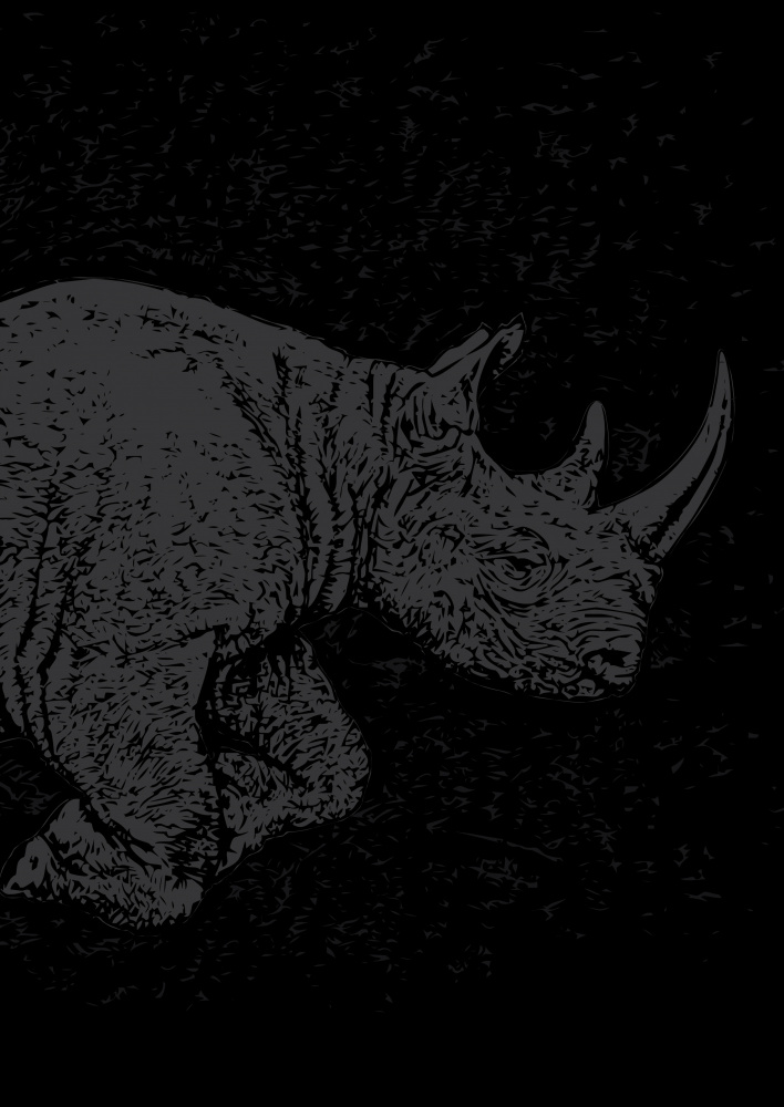 Black Rhino Charging od Carlo Kaminski