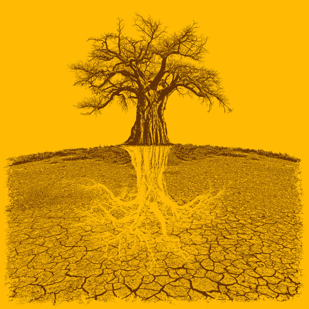 Baobab Mythical Roots Deeper Yellow (h) od Carlo Kaminski