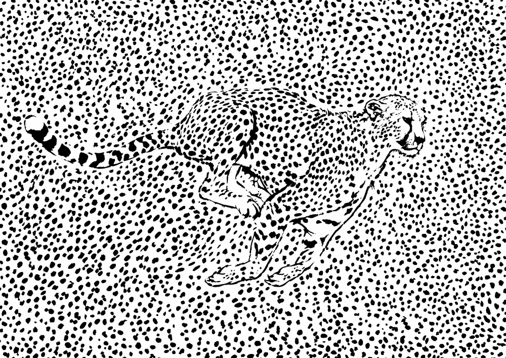 Cheetah Full Sprint od Carlo Kaminski