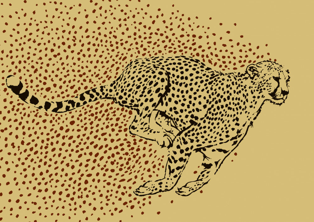 Cheetah Full Sprint od Carlo Kaminski