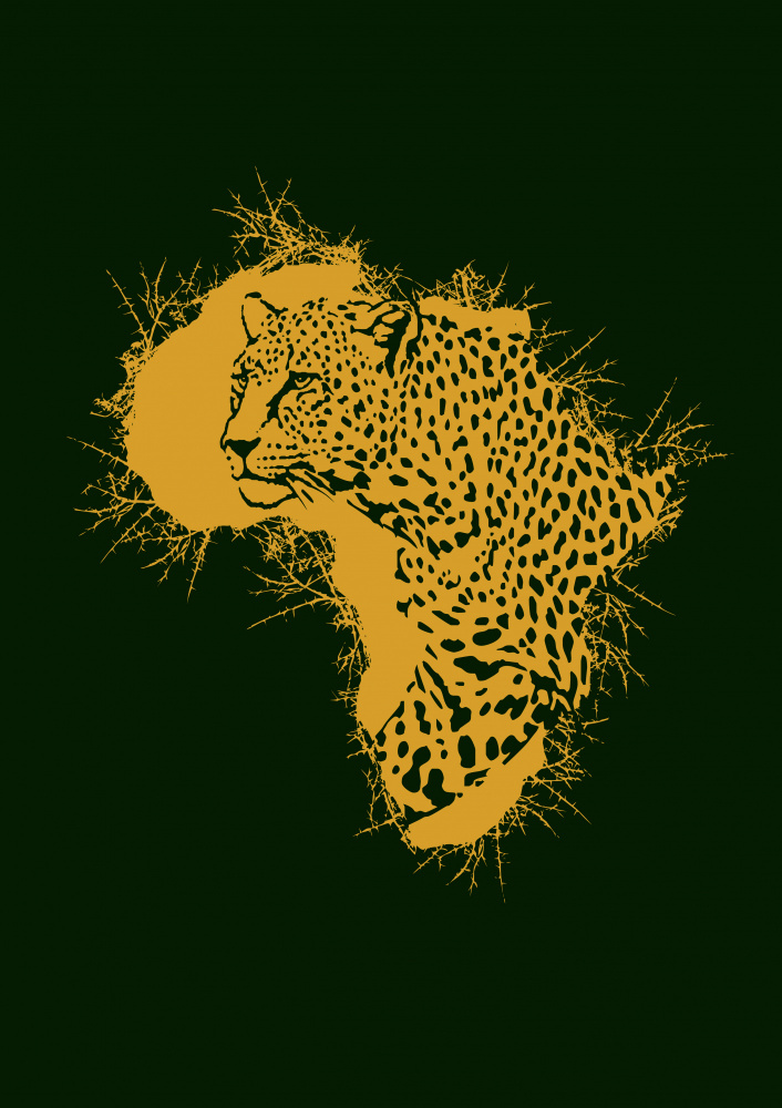Leopard Thorny Africa od Carlo Kaminski