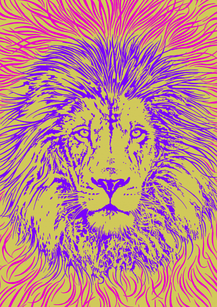 Lion Portrait – King of the Beasts od Carlo Kaminski