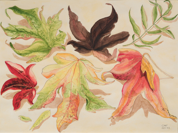 Autumn Leaves od Carolyn  Hubbard-Ford