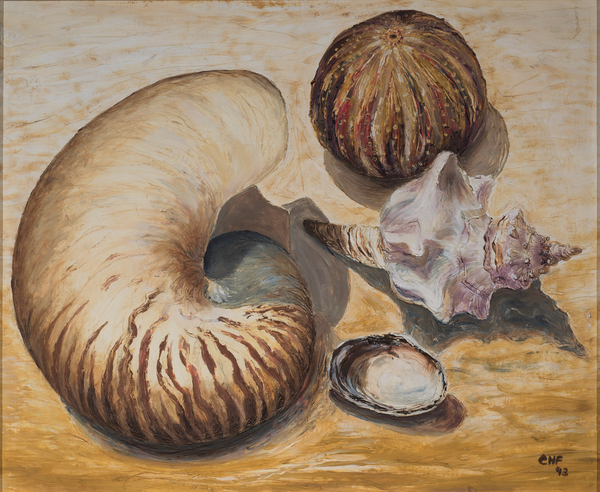 Seashells od Carolyn  Hubbard-Ford