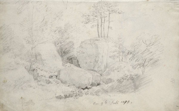 Boulders in Woodland od Caspar David Friedrich