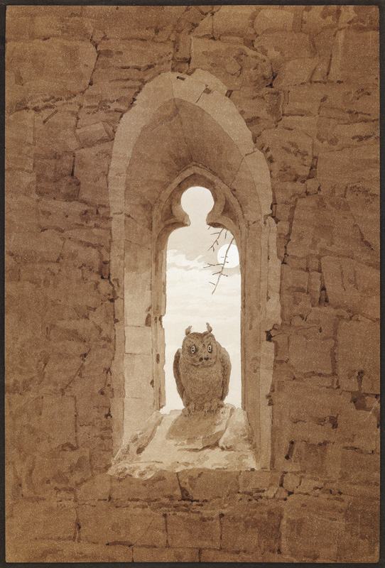 Owl in a Gothic Window od Caspar David Friedrich