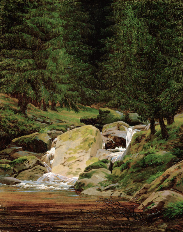 The Evergreens by the Waterfall od Caspar David Friedrich