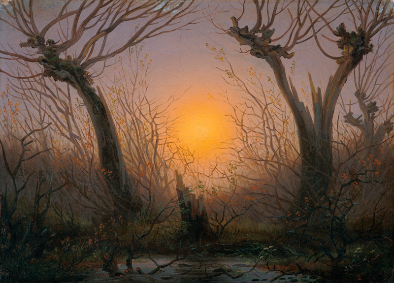 Waldlandschaft bei tiefstehender Sonne. od Caspar David Friedrich