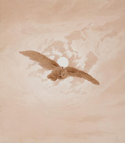 Owl Flying against a Moonlit Sky od Caspar David Friedrich