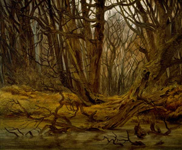 Wald im Spaetherbst od Caspar David Friedrich