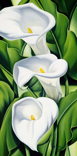 Lilies od Catherine  Abel