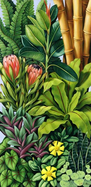 Foliage III, 2005 (oil on canvas)  od Catherine  Abel