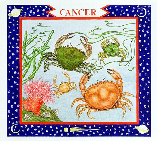 Cancer (w/c on paper)  od Catherine  Bradbury