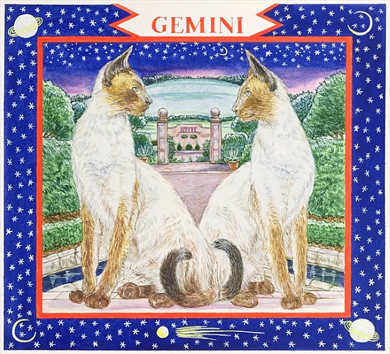 Gemini (w/c on paper)  od Catherine  Bradbury