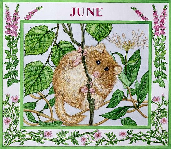 June (w/c on paper)  od Catherine  Bradbury