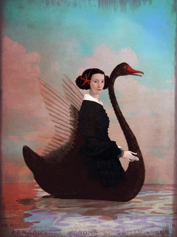 Black Swan od Catrin Welz-Stein