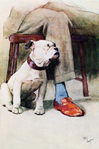Bulldog (pen & ink & wash on paper) od Cecil Charles Windsor Aldin