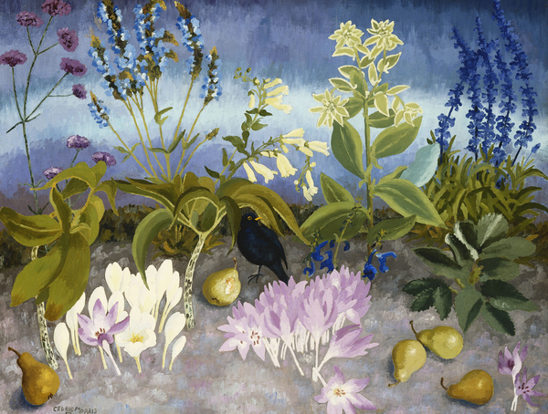 Blackbird and Flowers od Cedric Morris