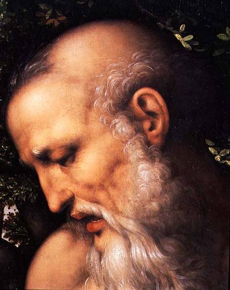 St. Jerome, detail of the saint's head od Cesare  da Sesto