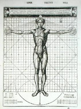 Ideal proportions based on the human body, from 'Di Lucio Vitruvio Pollione de architectura a libri