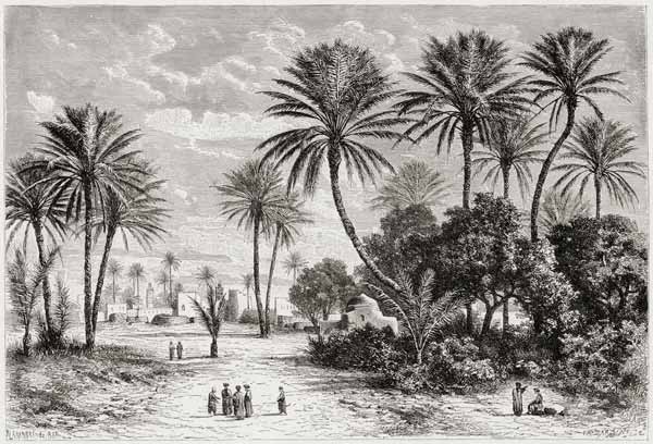 Oasis of Gafsa: Tunis od Charles Barbant
