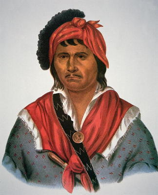 Neamathla Chief, 1826 (colour litho) od Charles Bird King
