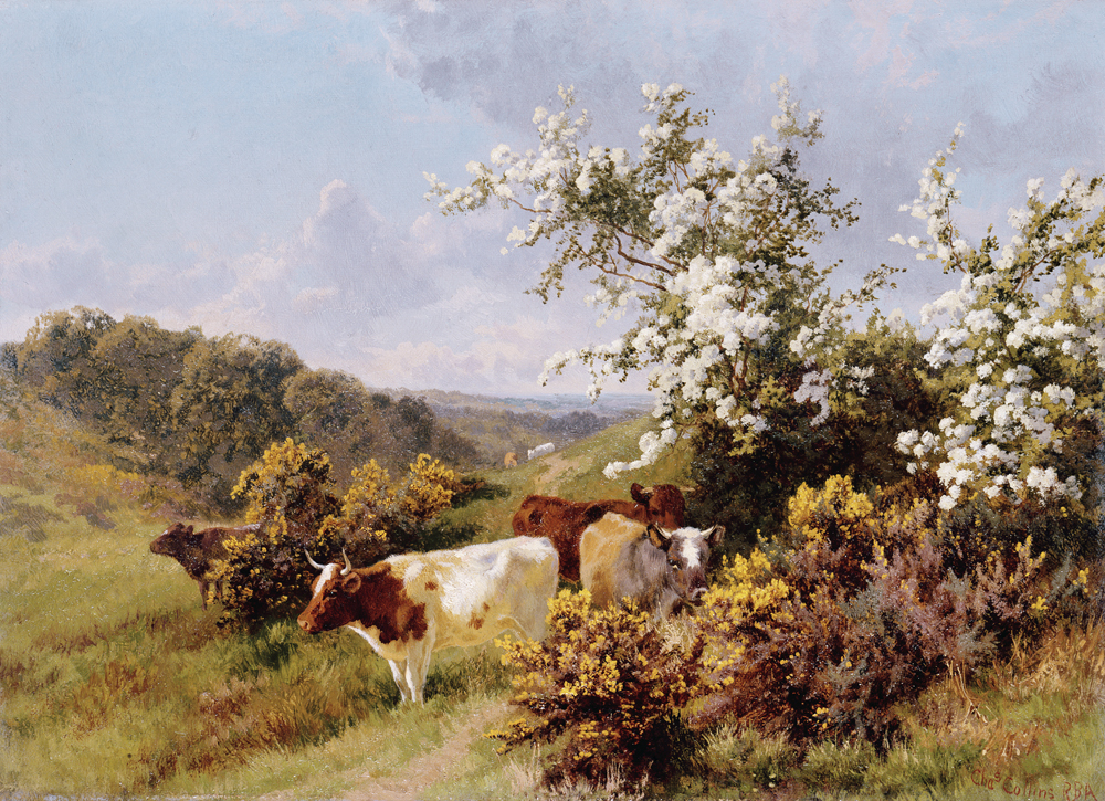 May Blossom od Charles Collins