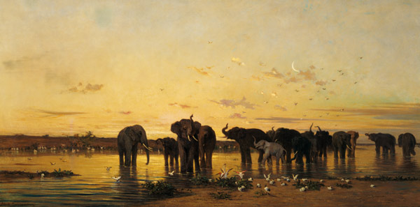 African Elephants od Charles Emile de Tournemine