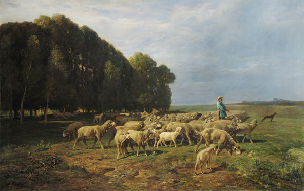 Flock of Sheep in a Landscape od Charles Emile Jacques
