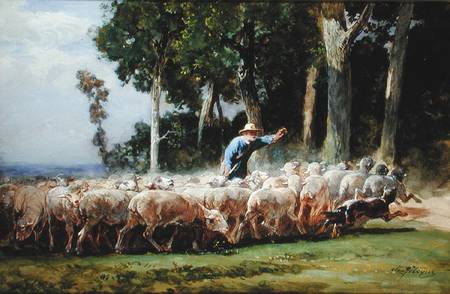 A Shepherd with a Flock of Sheep od Charles Emile Jacques