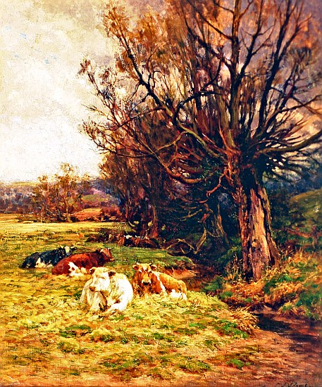 Cattle grazing od Charles James Adams