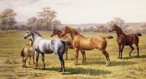 Horses and Foal in a Field od Charles Jones