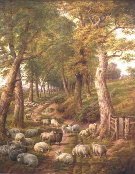 Landscape with Sheep od Charles Jones