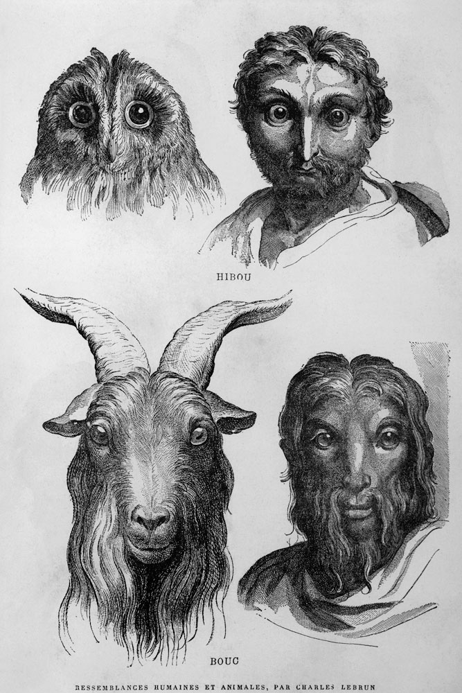 Ähnlichkeiten zw. Mensch u.Tier/Le Brun od Charles Le Brun